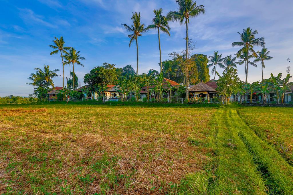 Villa Kaba Kaba Resort Canggu Εξωτερικό φωτογραφία