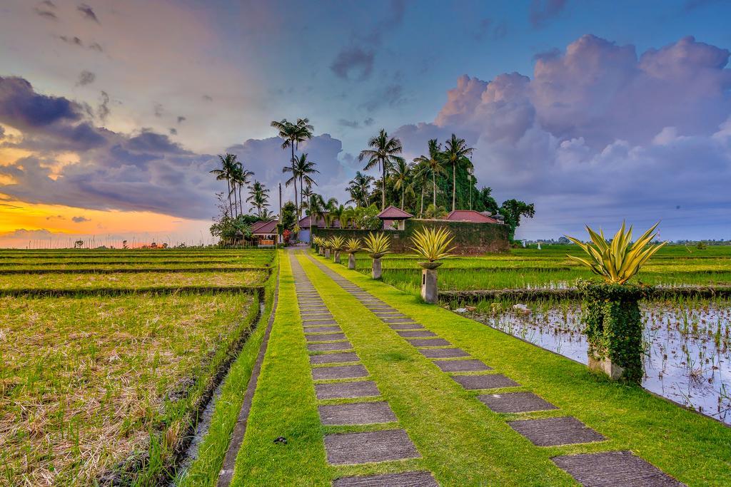 Villa Kaba Kaba Resort Canggu Εξωτερικό φωτογραφία