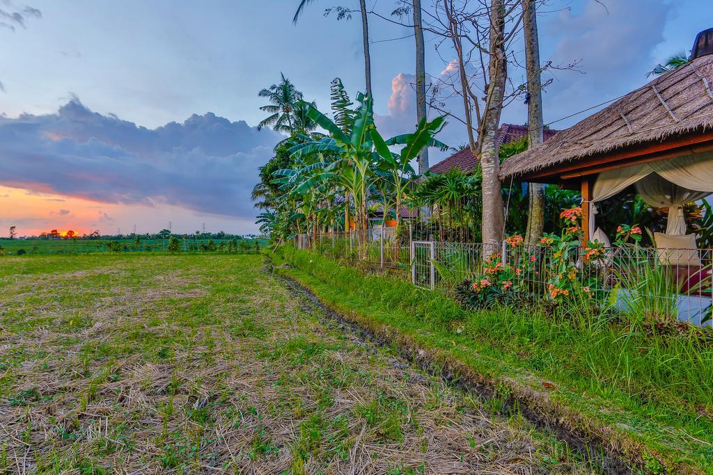 Villa Kaba Kaba Resort Canggu Εξωτερικό φωτογραφία