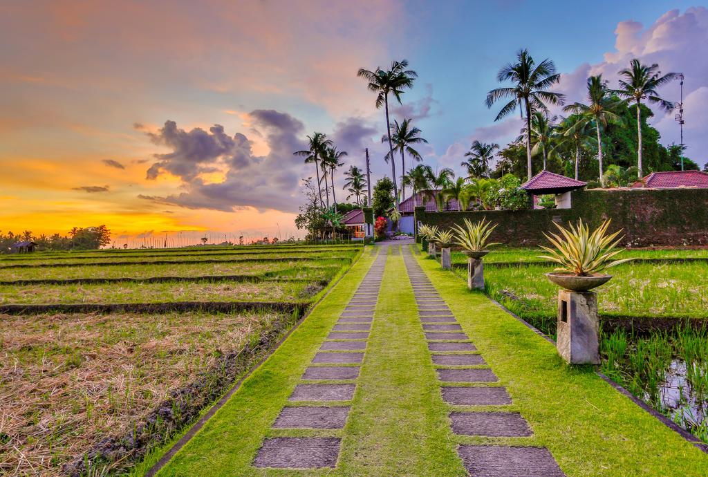 Villa Kaba Kaba Resort Canggu Εξωτερικό φωτογραφία