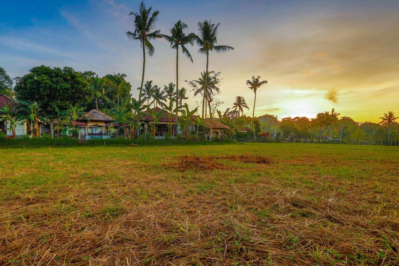 Villa Kaba Kaba Resort Canggu Εξωτερικό φωτογραφία